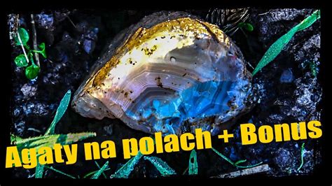 W poszukiwaniu skarbów natury .